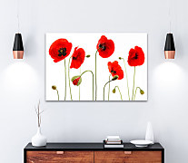 Obraz Mak vlčí 1514